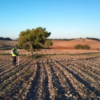 Desdoblamiento C-25: Cervera – Aguilar de Segarra