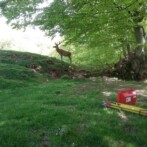 Levantamiento topográfico en Belate (Navarra)